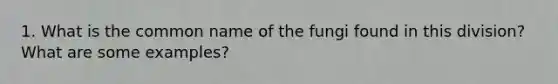 1. What is the common name of the fungi found in this division? What are some examples?