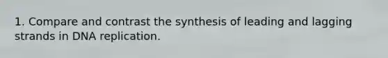 1. Compare and contrast the synthesis of leading and lagging strands in DNA replication.