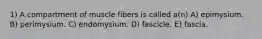 1) A compartment of muscle fibers is called a(n) A) epimysium. B) perimysium. C) endomysium. D) fascicle. E) fascia.