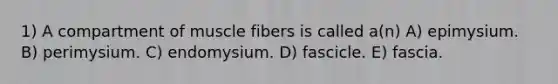 1) A compartment of muscle fibers is called a(n) A) epimysium. B) perimysium. C) endomysium. D) fascicle. E) fascia.