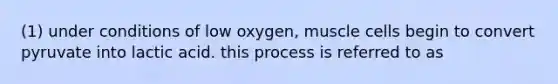 (1) under conditions of low oxygen, muscle cells begin to convert pyruvate into lactic acid. this process is referred to as