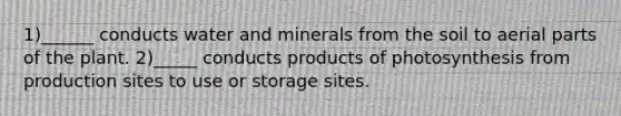 1)______ conducts water and minerals from the soil to aerial parts of the plant. 2)_____ conducts products of photosynthesis from production sites to use or storage sites.