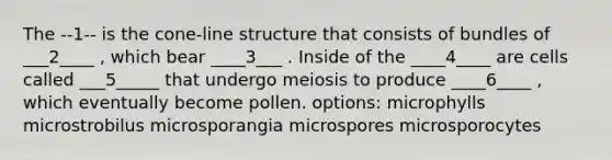 The --1-- is the cone-line structure that consists of bundles of ___2____ , which bear ____3___ . Inside of the ____4____ are cells called ___5_____ that undergo meiosis to produce ____6____ , which eventually become pollen. options: microphylls microstrobilus microsporangia microspores microsporocytes