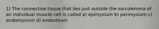 1) The connective tissue that lies just outside the sarcolemma of an individual muscle cell is called a) epimysium b) perimysium c) endomysium d) endosteum