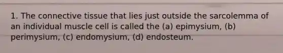 1. The connective tissue that lies just outside the sarcolemma of an individual muscle cell is called the (a) epimysium, (b) perimysium, (c) endomysium, (d) endosteum.
