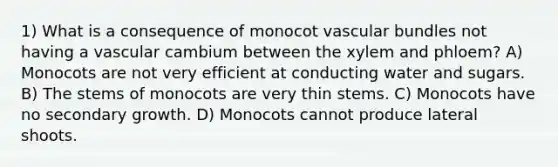 1) What is a consequence of monocot vascular bundles not having a vascular cambium between the xylem and phloem? A) Monocots are not very efficient at conducting water and sugars. B) The stems of monocots are very thin stems. C) Monocots have no secondary growth. D) Monocots cannot produce lateral shoots.