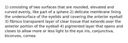 1) consisting of two surfaces that are rounded, elevated and curved evenly, like part of a sphere 2) delicate membrane lining the undersurface of the eyelids and covering the anterior eyeball 3) fibrous transparent layer of clear tissue that extends over the anterior portion of the eyeball 4) pigmented layer that opens and closes to allow more or less light to the eye iris, conjunctiva, biconvex, cornea