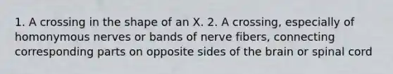 1. A crossing in the shape of an X. 2. A crossing, especially of homonymous nerves or bands of nerve fibers, connecting corresponding parts on opposite sides of <a href='https://www.questionai.com/knowledge/kLMtJeqKp6-the-brain' class='anchor-knowledge'>the brain</a> or spinal cord