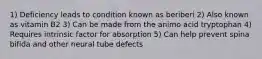 1) Deficiency leads to condition known as beriberi 2) Also known as vitamin B2 3) Can be made from the animo acid tryptophan 4) Requires intrinsic factor for absorption 5) Can help prevent spina bifida and other neural tube defects