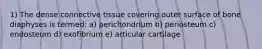 1) The dense connective tissue covering outer surface of bone diaphyses is termed: a) perichondrium b) periosteum c) endosteum d) exofibrium e) articular cartilage