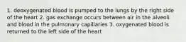 1. deoxygenated blood is pumped to the lungs by the right side of the heart 2. gas exchange occurs between air in the alveoli and blood in the pulmonary capillaries 3. oxygenated blood is returned to the left side of the heart