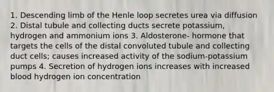 1. Descending limb of the Henle loop secretes urea via diffusion 2. Distal tubule and collecting ducts secrete potassium, hydrogen and ammonium ions 3. Aldosterone- hormone that targets the cells of the distal convoluted tubule and collecting duct cells; causes increased activity of the sodium-potassium pumps 4. Secretion of hydrogen ions increases with increased blood hydrogen ion concentration