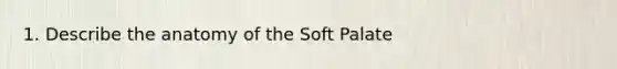 1. Describe the anatomy of the Soft Palate