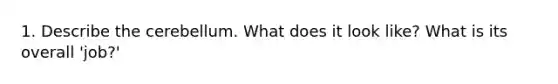 1. Describe the cerebellum. What does it look like? What is its overall 'job?'