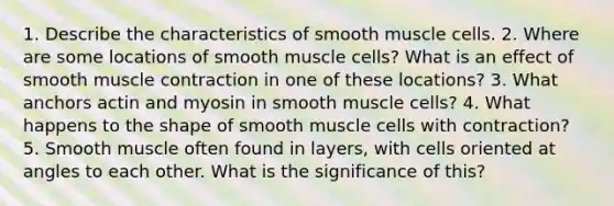 1. Describe the characteristics of smooth muscle cells. 2. Where are some locations of smooth muscle cells? What is an effect of smooth muscle contraction in one of these locations? 3. What anchors actin and myosin in smooth muscle cells? 4. What happens to the shape of smooth muscle cells with contraction? 5. Smooth muscle often found in layers, with cells oriented at angles to each other. What is the significance of this?