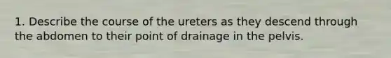 1. Describe the course of the ureters as they descend through the abdomen to their point of drainage in the pelvis.