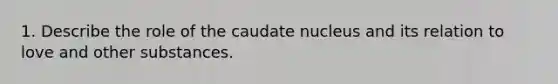 1. Describe the role of the caudate nucleus and its relation to love and other substances.