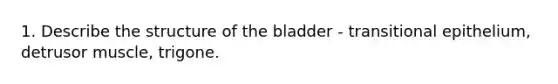 1. Describe the structure of the bladder - transitional epithelium, detrusor muscle, trigone.