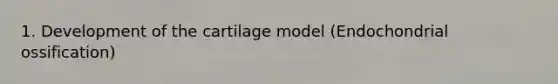 1. Development of the cartilage model (Endochondrial ossification)