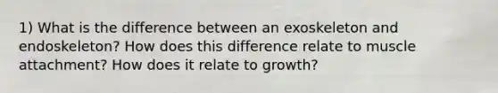 1) What is the difference between an exoskeleton and endoskeleton? How does this difference relate to muscle attachment? How does it relate to growth?