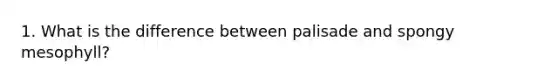 1. What is the difference between palisade and spongy mesophyll?