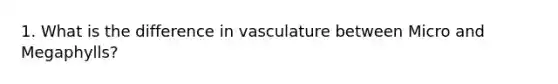 1. What is the difference in vasculature between Micro and Megaphylls?