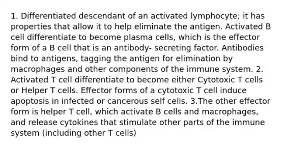 1. Differentiated descendant of an activated lymphocyte; it has properties that allow it to help eliminate the antigen. Activated B cell differentiate to become plasma cells, which is the effector form of a B cell that is an antibody- secreting factor. Antibodies bind to antigens, tagging the antigen for elimination by macrophages and other components of the immune system. 2. Activated T cell differentiate to become either Cytotoxic T cells or Helper T cells. Effector forms of a cytotoxic T cell induce apoptosis in infected or cancerous self cells. 3.The other effector form is helper T cell, which activate B cells and macrophages, and release cytokines that stimulate other parts of the immune system (including other T cells)