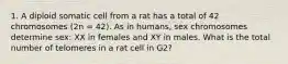 1. A diploid somatic cell from a rat has a total of 42 chromosomes (2n = 42). As in humans, sex chromosomes determine sex: XX in females and XY in males. What is the total number of telomeres in a rat cell in G2?