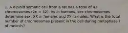 1. A diploid somatic cell from a rat has a total of 42 chromosomes (2n = 42). As in humans, sex chromosomes determine sex: XX in females and XY in males. What is the total number of chromosomes present in the cell during metaphase I of meiosis?