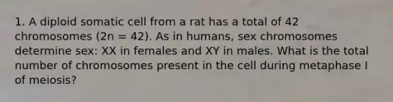 1. A diploid somatic cell from a rat has a total of 42 chromosomes (2n = 42). As in humans, sex chromosomes determine sex: XX in females and XY in males. What is the total number of chromosomes present in the cell during metaphase I of meiosis?