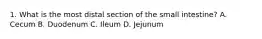 1. What is the most distal section of the small intestine? A. Cecum B. Duodenum C. Ileum D. Jejunum