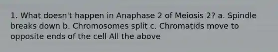 1. What doesn't happen in Anaphase 2 of Meiosis 2? a. Spindle breaks down b. Chromosomes split c. Chromatids move to opposite ends of the cell All the above