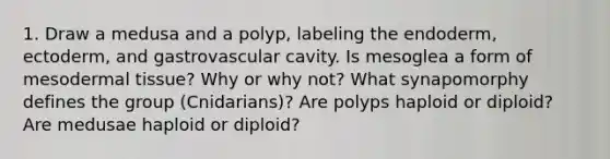 1. Draw a medusa and a polyp, labeling the endoderm, ectoderm, and gastrovascular cavity. Is mesoglea a form of mesodermal tissue? Why or why not? What synapomorphy defines the group (Cnidarians)? Are polyps haploid or diploid? Are medusae haploid or diploid?