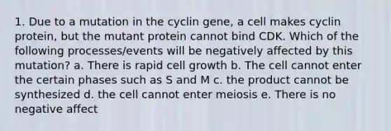 1. Due to a mutation in the cyclin gene, a cell makes cyclin protein, but the mutant protein cannot bind CDK. Which of the following processes/events will be negatively affected by this mutation? a. There is rapid cell growth b. The cell cannot enter the certain phases such as S and M c. the product cannot be synthesized d. the cell cannot enter meiosis e. There is no negative affect