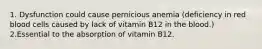 1. Dysfunction could cause pernicious anemia (deficiency in red blood cells caused by lack of vitamin B12 in the blood.) 2.Essential to the absorption of vitamin B12.