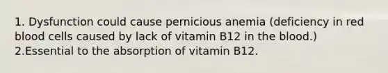 1. Dysfunction could cause pernicious anemia (deficiency in red blood cells caused by lack of vitamin B12 in <a href='https://www.questionai.com/knowledge/k7oXMfj7lk-the-blood' class='anchor-knowledge'>the blood</a>.) 2.Essential to the absorption of vitamin B12.