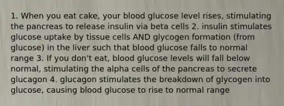 1. When you eat cake, your blood glucose level rises, stimulating the pancreas to release insulin via beta cells 2. insulin stimulates glucose uptake by tissue cells AND glycogen formation (from glucose) in the liver such that blood glucose falls to normal range 3. If you don't eat, blood glucose levels will fall below normal, stimulating the alpha cells of the pancreas to secrete glucagon 4. glucagon stimulates the breakdown of glycogen into glucose, causing blood glucose to rise to normal range