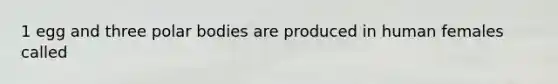 1 egg and three polar bodies are produced in human females called