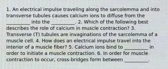 1. An electrical impulse traveling along the sarcolemma and into transverse tubules causes calcium ions to diffuse from the __________ into the __________. 2. Which of the following best describes the role of calcium in muscle contraction? 3. Transverse (T) tubules are invaginations of the sarcolemma of a muscle cell. 4. How does an electrical impulse travel into the interior of a muscle fiber? 5. Calcium ions bind to __________ in order to initiate a muscle contraction. 6. In order for muscle contraction to occur, cross-bridges form between __________.