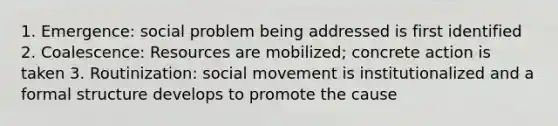 1. Emergence: social problem being addressed is first identified 2. Coalescence: Resources are mobilized; concrete action is taken 3. Routinization: social movement is institutionalized and a formal structure develops to promote the cause