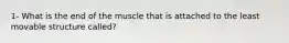 1- What is the end of the muscle that is attached to the least movable structure called?