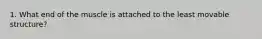 1. What end of the muscle is attached to the least movable structure?