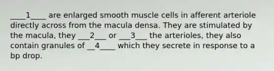 ____1____ are enlarged smooth muscle cells in afferent arteriole directly across from the macula densa. They are stimulated by the macula, they ___2___ or ___3___ the arterioles, they also contain granules of __4____ which they secrete in response to a bp drop.