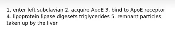 1. enter left subclavian 2. acquire ApoE 3. bind to ApoE receptor 4. lipoprotein lipase digesets triglycerides 5. remnant particles taken up by the liver