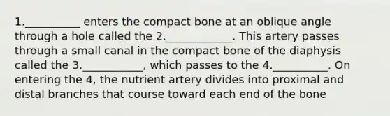 1.__________ enters the compact bone at an oblique angle through a hole called the 2.____________. This artery passes through a small canal in the compact bone of the diaphysis called the 3.___________, which passes to the 4.__________. On entering the 4, the nutrient artery divides into proximal and distal branches that course toward each end of the bone