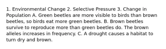 1. Environmental Change 2. Selective Pressure 3. Change in Population A. Green beetles are more visible to birds than brown beetles, so birds eat more green beetles. B. Brown beetles survive to reproduce more than green beetles do. The brown alleles increases in frequency. C. A drought causes a habitat to turn dry and brown.