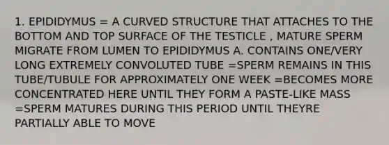 1. EPIDIDYMUS = A CURVED STRUCTURE THAT ATTACHES TO THE BOTTOM AND TOP SURFACE OF THE TESTICLE , MATURE SPERM MIGRATE FROM LUMEN TO EPIDIDYMUS A. CONTAINS ONE/VERY LONG EXTREMELY CONVOLUTED TUBE =SPERM REMAINS IN THIS TUBE/TUBULE FOR APPROXIMATELY ONE WEEK =BECOMES MORE CONCENTRATED HERE UNTIL THEY FORM A PASTE-LIKE MASS =SPERM MATURES DURING THIS PERIOD UNTIL THEYRE PARTIALLY ABLE TO MOVE