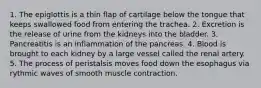 1. The epiglottis is a thin flap of cartilage below the tongue that keeps swallowed food from entering the trachea. 2. Excretion is the release of urine from the kidneys into the bladder. 3. Pancreatitis is an inflammation of the pancreas. 4. Blood is brought to each kidney by a large vessel called the renal artery. 5. The process of peristalsis moves food down the esophagus via rythmic waves of smooth muscle contraction.