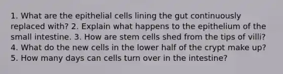 1. What are the epithelial cells lining the gut continuously replaced with? 2. Explain what happens to the epithelium of the small intestine. 3. How are stem cells shed from the tips of villi? 4. What do the new cells in the lower half of the crypt make up? 5. How many days can cells turn over in the intestine?