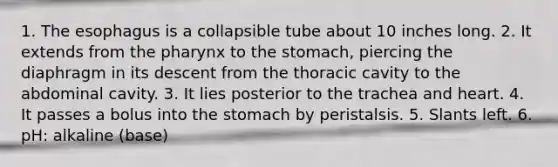 1. The esophagus is a collapsible tube about 10 inches long. 2. It extends from the pharynx to the stomach, piercing the diaphragm in its descent from the thoracic cavity to the abdominal cavity. 3. It lies posterior to the trachea and heart. 4. It passes a bolus into the stomach by peristalsis. 5. Slants left. 6. pH: alkaline (base)